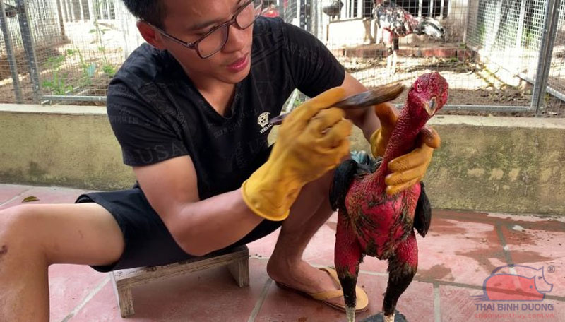 Dinh Dưỡng Hỗ Trợ Huấn Luyện Tối Ưu