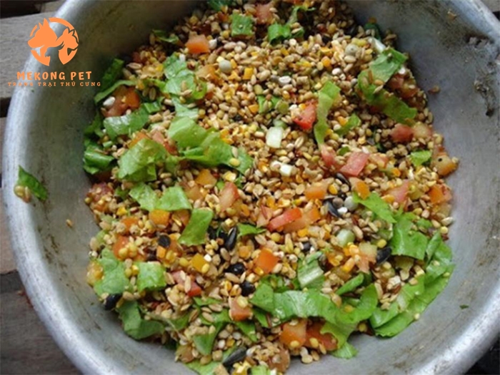 Công Thức Thức Ăn Tự Pha Chế Chuyên Nghiệp